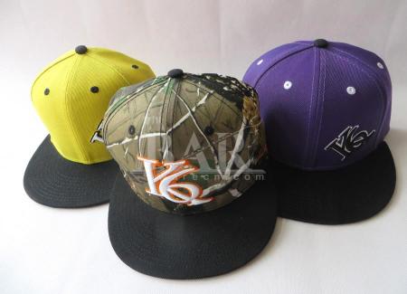 op maat gemaakte 3D-katoenen snapback cap met logo voor sport 