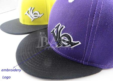 op maat gemaakte 3D-katoenen snapback cap met logo voor sport 